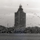 ARH NL Koberg 5463, Leuchtturm und Möwen, Insel Neuwerk