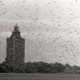 Archiv der Region Hannover, ARH NL Koberg 5464, Leuchtturm und Möwen, Insel Neuwerk
