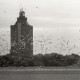 ARH NL Koberg 5474, Leuchtturm und Möwen, Insel Neuwerk