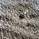 Archiv der Region Hannover, ARH NL Koberg 5521, Muscheln im Wattenmeer, Insel Neuwerk