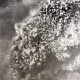 Archiv der Region Hannover, ARH NL Koberg 5527, Muscheln im Wattenmeer, Insel Neuwerk