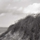 Archiv der Region Hannover, ARH NL Koberg 5586, Düne mit Strandhafer, Insel Neuwerk
