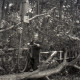 Archiv der Region Hannover, ARH NL Koberg 6436, Sturmschäden in der Eilenriede, Hannover