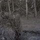 Archiv der Region Hannover, ARH NL Koberg 6447, Sturmschäden, Hannover