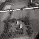 Archiv der Region Hannover, ARH NL Koberg 8061, Gehöft