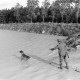 Archiv der Region Hannover, ARH NL Mellin 01-006/0012, Jäger bringt einem Jagdhund bei, einen Vogel aus einem See zu holen