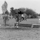 Archiv der Region Hannover, ARH NL Mellin 01-008/0003, 