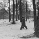 Archiv der Region Hannover, ARH NL Mellin 01-016/0015, Amtspark und Amtsgericht in Großburgwedel