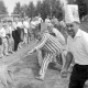 Archiv der Region Hannover, ARH NL Mellin 01-022/0023, 