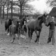 Archiv der Region Hannover, ARH NL Mellin 01-025/0020, 