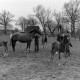 Archiv der Region Hannover, ARH NL Mellin 01-025/0021, 