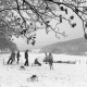 Archiv der Region Hannover, ARH NL Mellin 01-046/0007, 