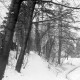 Archiv der Region Hannover, ARH NL Mellin 01-050/0006, Pfalzgarten, Goslar