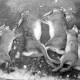 ARH NL Mellin 01-050/0016, Strecke bei einer Jagd der Jagdgesellschaft Isernhagen HB, Großburgwedel