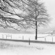 Archiv der Region Hannover, ARH NL Mellin 01-052/0010, 