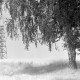 Archiv der Region Hannover, ARH NL Mellin 01-058/0006, 
