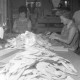 Archiv der Region Hannover, ARH NL Mellin 01-064/0002, Verpackung von Sepia-Schalen in der Vogelfutterfabrik H. Finkenstedt in Lehrte