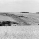ARH NL Mellin 01-097/0015, Mähdrescher und Umgebung