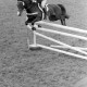 Archiv der Region Hannover, ARH NL Mellin 01-101/0014, Springturnier