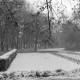 Archiv der Region Hannover, ARH NL Mellin 01-115/0003, Parkanlage, Burgdorf?