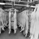 Archiv der Region Hannover, ARH NL Mellin 01-127/0001, Halbe Schweine aufgehängt in einer Schlachterei