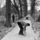 Archiv der Region Hannover, ARH NL Mellin 01-191/0013, Pflastern einer Allee