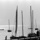 ARH NL Mellin 02-001/0018, Segelboote auf dem Steinhuder Meer, Steinhude