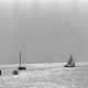 ARH NL Mellin 02-001/0019, Segelboote auf dem Steinhuder Meer, Steinhude