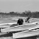 Archiv der Region Hannover, ARH NL Mellin 02-011/0014, Lackieren von Paddelbooten am Würmsee, Burgwedel