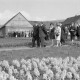 ARH NL Mellin 02-012/0013, Wilfried Hasselmann (Gruppe anführend) mit einer Gruppe Personen zu einer Blumenschau am Essmannshof, Deckbergen