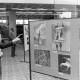 Archiv der Region Hannover, ARH NL Mellin 02-024/0009, Ausstellung von Vogel-Fotografien?