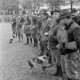 Archiv der Region Hannover, ARH NL Mellin 02-108/0004, In einer Reihe stehende Jagdhornbläser mit Falknern mit Raubvögeln zu beiden Seiten und zwei Jagdhunde