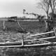 Archiv der Region Hannover, ARH NL Mellin 02-136/0010, Beschneiter Zaun und Weide