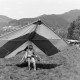 ARH NL Mellin 02-139/0002, Hängegleiter auf einer Wiese