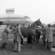Archiv der Region Hannover, ARH NL Mellin 02-143/0003, Ein Pferd wird in eine Transportbox für ein Flugzeug geführt