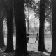 Archiv der Region Hannover, ARH NL Mellin 02-160/0005, Zwei Jungen beim Spielen auf einem Spielplatz