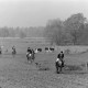 ARH NL Mellin 02-163/0002, Reitjagd(?)