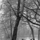 Archiv der Region Hannover, ARH NL Mellin 02-170/0022, Drei Personen auf einer Bank an einem See in einem Park sitzend