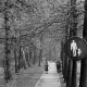 Archiv der Region Hannover, ARH NL Mellin 02-170/0024, Fußweg in einem Park