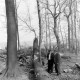 Archiv der Region Hannover, ARH NL Mellin 02-181/0005, (Sturm-?)Schäden in einem Wald