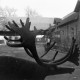 Archiv der Region Hannover, ARH NL Mellin 02-191/0014, Blick über die Skulptur eines Elches auf einen Innenhof