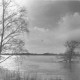 ARH Slg. Bartling 1063, Leine-Hochwasser im Spätherbst, Blick vom östlichen Ufer nach Südwesten über das überschwemmte Flusstal, darin die Krone einer Eiche, Neustadt a. Rbge.