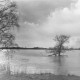 Stadtarchiv Neustadt a. Rbge., ARH Slg. Bartling 1065, Leine-Hochwasser im Spätherbst, Blick vom östlichen Ufer nach Nordwesten über das überschwemmte Flusstal, darin die Krone einer Eiche, Neustadt a. Rbge.