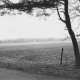 ARH Slg. Bartling 1140, Für die Anlegung von Parkplätzen vorgesehene Ackerfläche am Weg am Nordufer, Steinhuder Meer