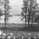 ARH Slg. Bartling 1171, Nordufer, Restaurant Weisse Düne, Blick vom Dach des Hotels auf die belebte Hotelterrasse, durch die Bäume auf den Strand und das Meer, Steinhuder Meer