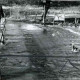 ARH Slg. Bartling 1544, Leine-Hochwasser am Fährhaus, Mann auf dem Steg, Hund im Wasser, Bordenau