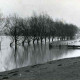 Stadtarchiv Neustadt a. Rbge., ARH Slg. Bartling 1546, Leine-Hochwasser, Blick auf die überschwemmte Leinemasch mit Baumreihe, Bordenau
