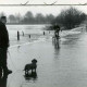 Stadtarchiv Neustadt a. Rbge., ARH Slg. Bartling 1574, Leine-Hochwasser am Fährhaus, Männer zu Fuß, mit dem Fahrrad und mit einem Dackel auf dem Weg durch das Wasser, Bordenau