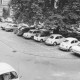 Stadtarchiv Neustadt a. Rbge., ARH Slg. Bartling 1575, Schlosshof, parkende Autos am Rande und in der Mitte unter der Kastanie, Neustadt a. Rbge.