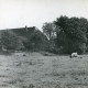ARH Slg. Bartling 2154, Von alten Eichen umgebenes Bauernhaus, Blick über die von zwei Kühen beweidete Leinemasch auf die Flussterrasse mit dem Bauernhaus, Basse